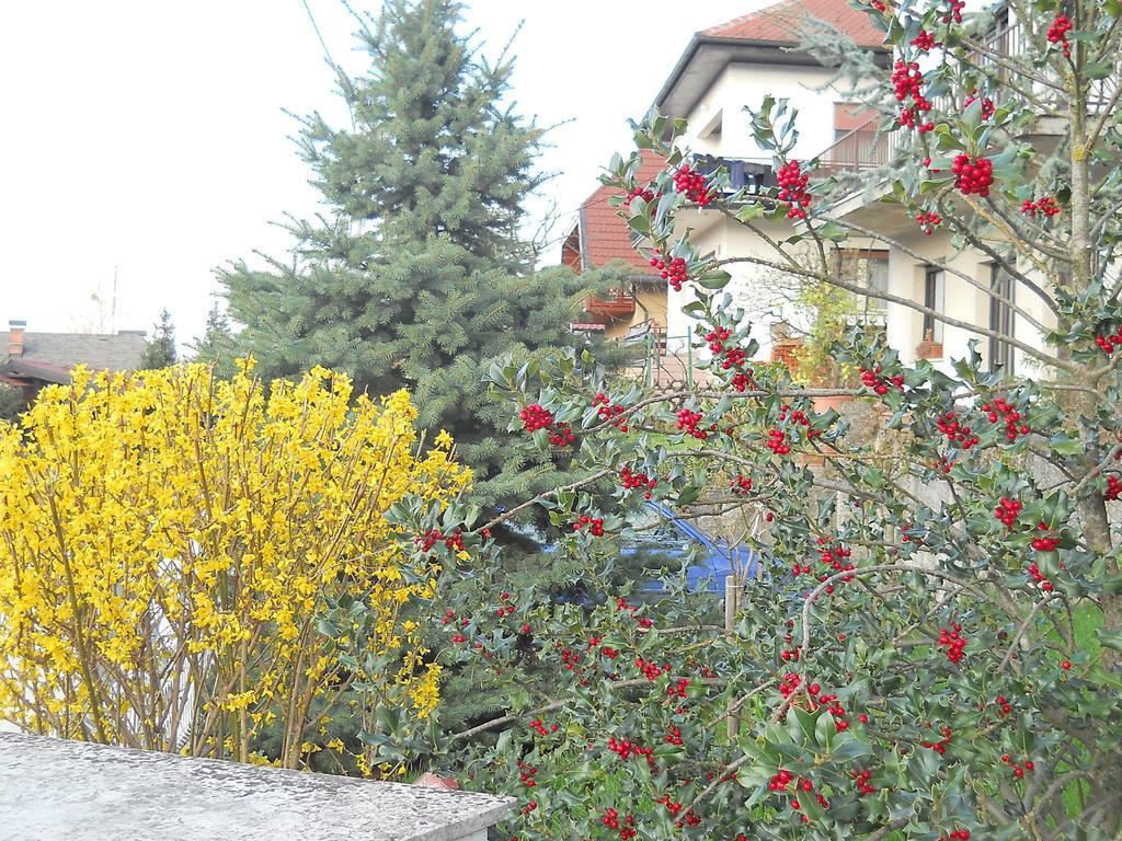Apartment & Rooms Miboti Samobor Zewnętrze zdjęcie